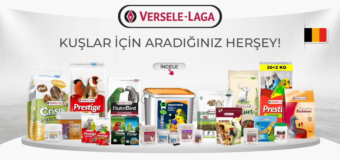 VERSELAGA