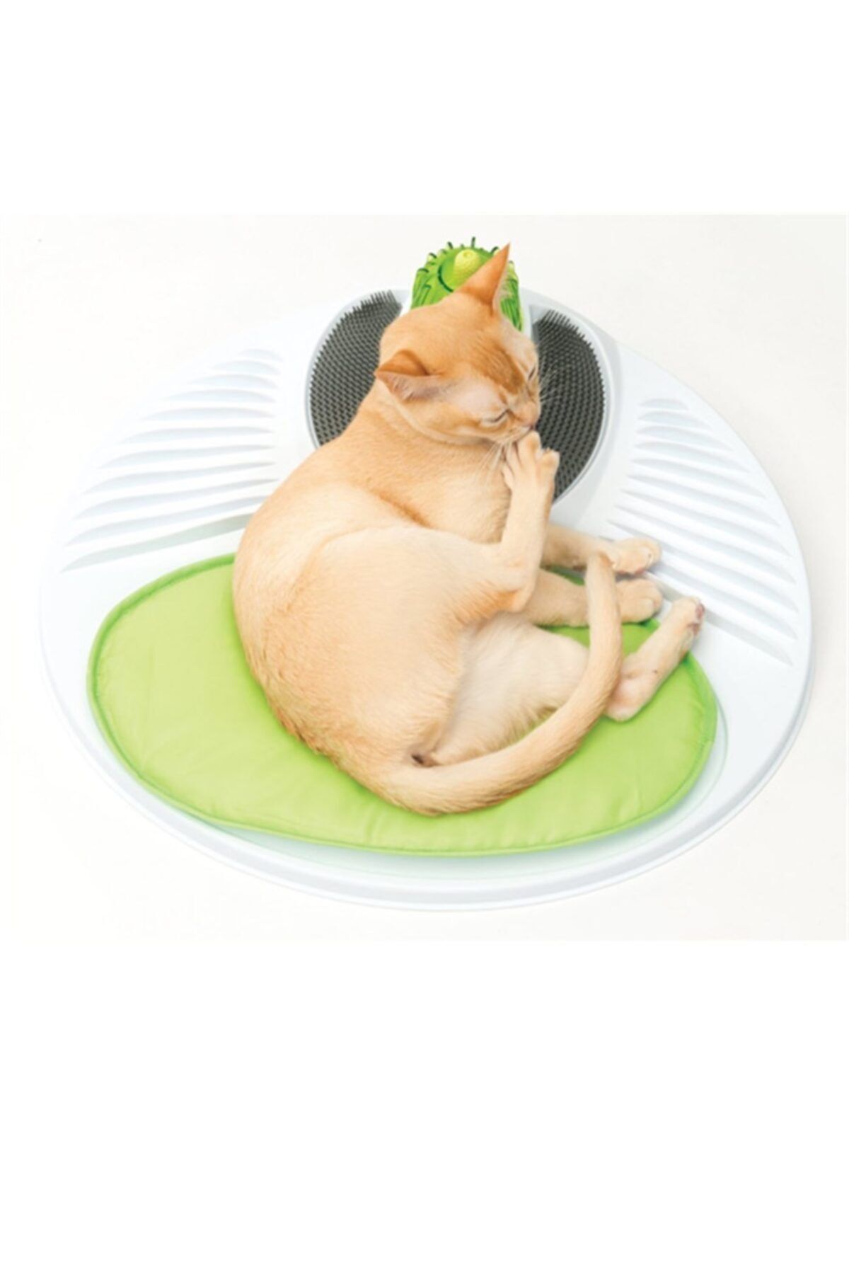 Catit Senses 2.0 Wellness Center Kedi Oyuncağı Catit Senses 2.0 Wellness Center Kedi Oyuncağı