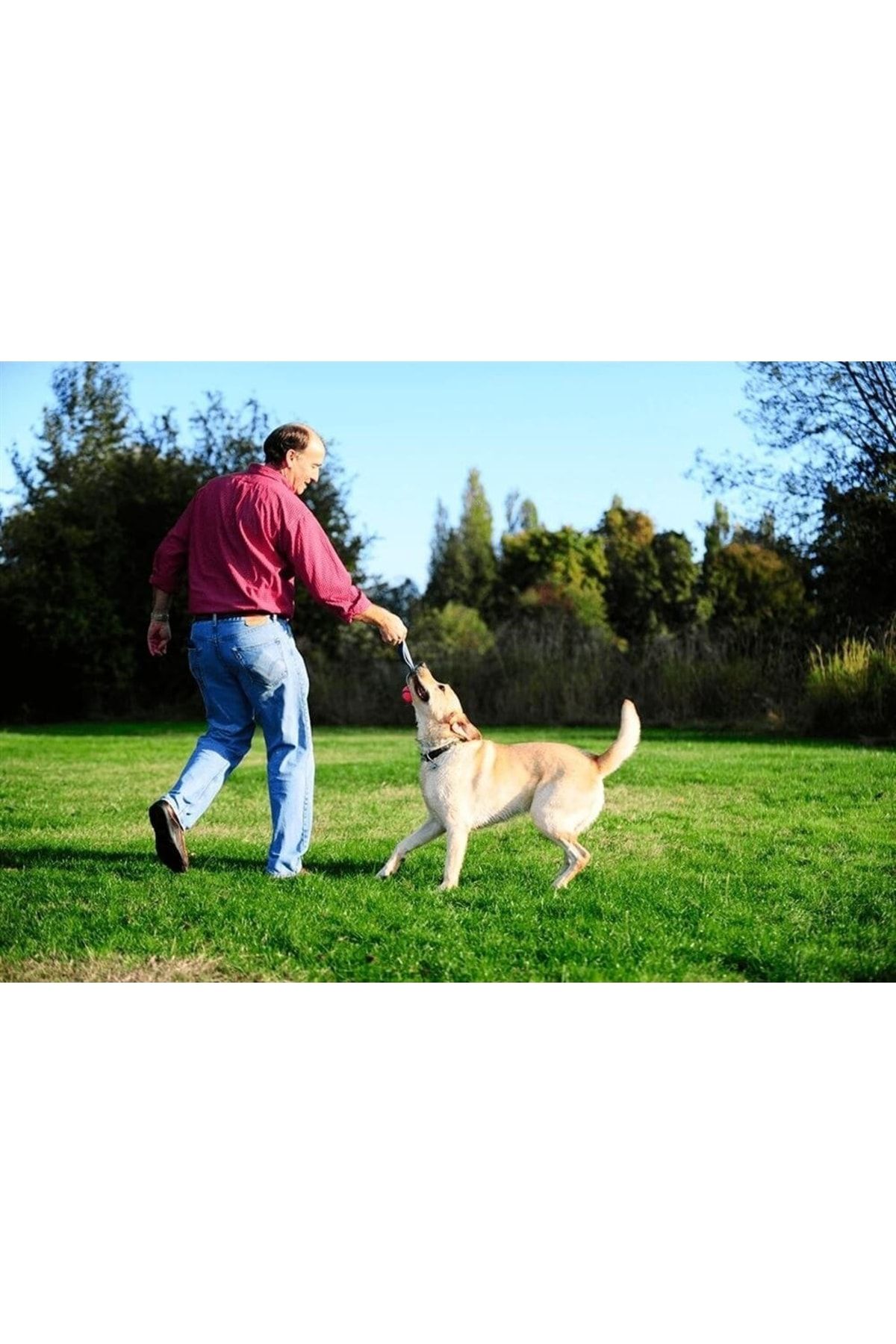 Chuckit Köpek Çekiştirme Topu ! Ultra Tug Chuckit Köpek Çekiştirme Topu ! Ultra Tug