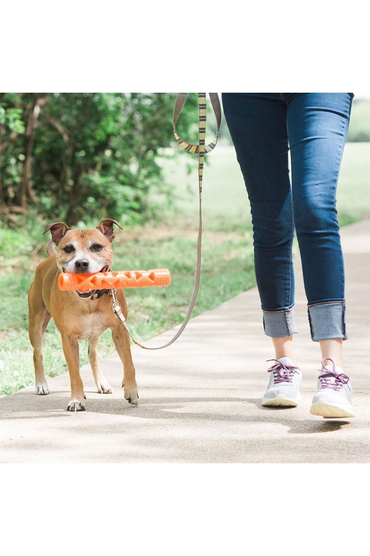 Chuckit! Air Fetch Stick Köpek Oyuncağı (Büyük Boy) Chuckit! Air Fetch Stick Köpek Oyuncağı (Büyük Boy)