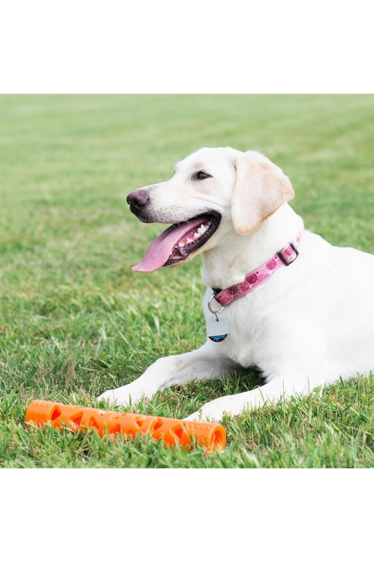 Chuckit! Air Fetch Stick Köpek Oyuncağı (Büyük Boy) Chuckit! Air Fetch Stick Köpek Oyuncağı (Büyük Boy)