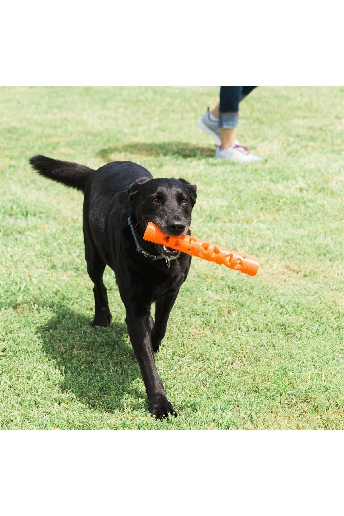 Chuckit! Air Fetch Stick Köpek Oyuncağı (Büyük Boy) Chuckit! Air Fetch Stick Köpek Oyuncağı (Büyük Boy)