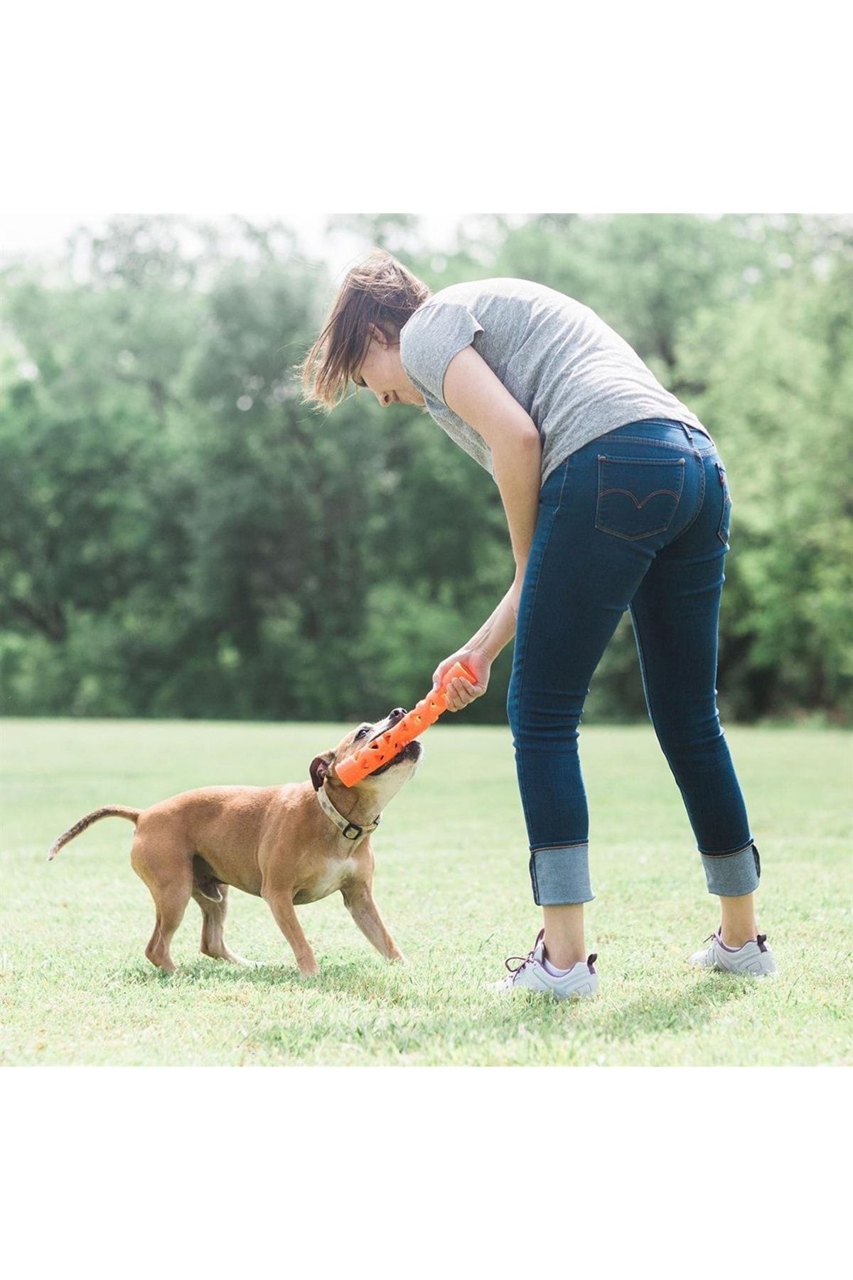 Chuckit! Air Fetch Stick Köpek Oyuncağı (Küçük Boy) Chuckit! Air Fetch Stick Köpek Oyuncağı (Küçük Boy)