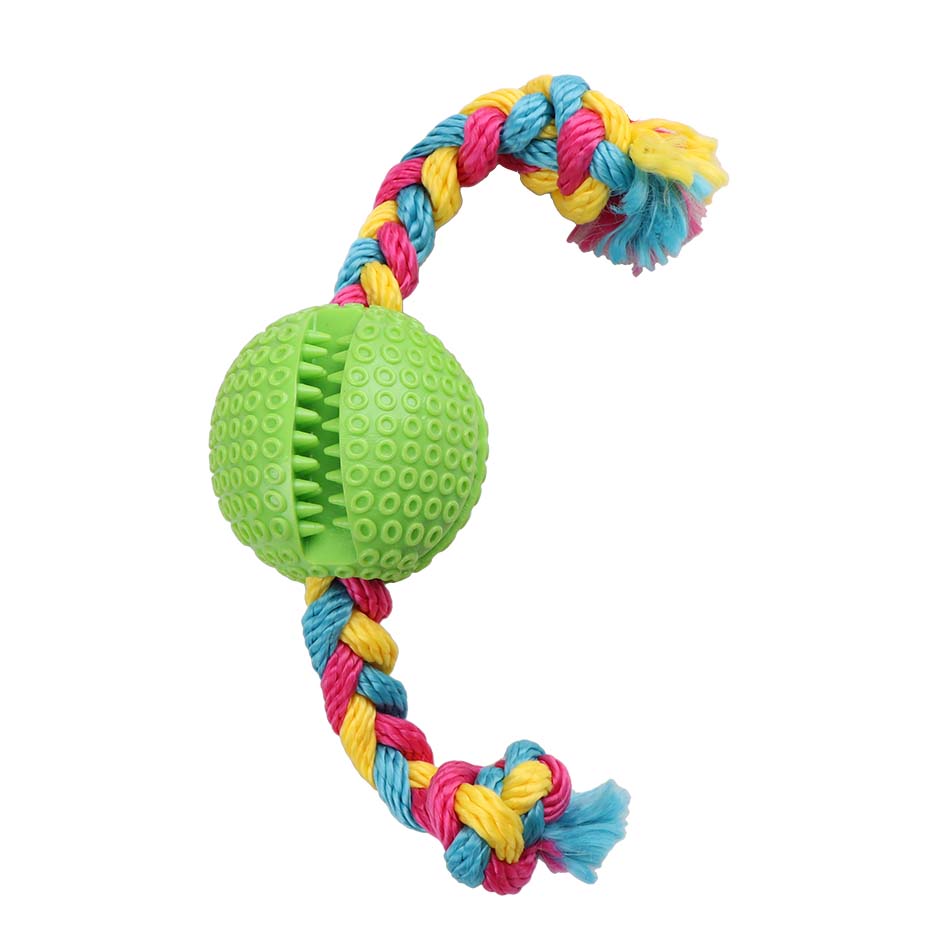 Eastland İpli Plastik Rugby Topu 6,5 Cm Eastland İpli Plastik Rugby Topu 6,5 Cm