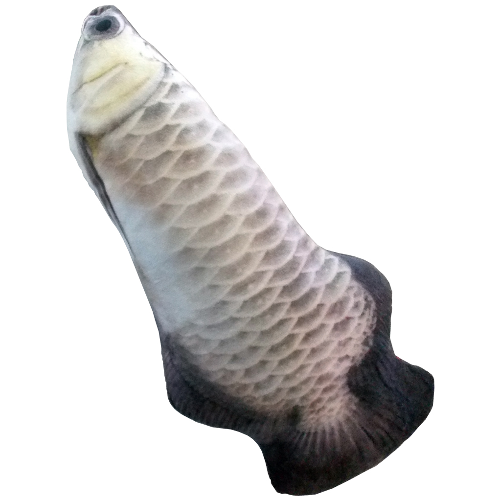 Eastland Peluş Oyn. Gümüş Arowana 40 Cm Eastland Peluş Oyn. Gümüş Arowana 40 Cm