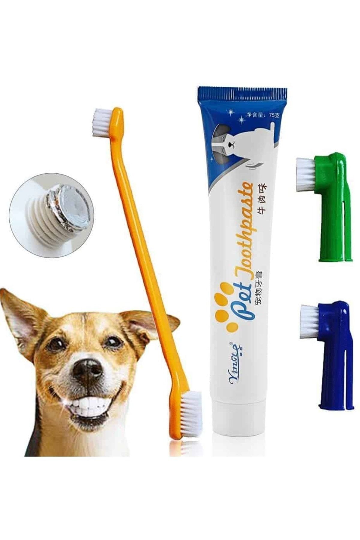Easy Pet Kedi Ve Köpek Diş Macunu Ve Fırça Seti Dental Kit Easy Pet Kedi Ve Köpek Diş Macunu Ve Fırça Seti Dental Kit