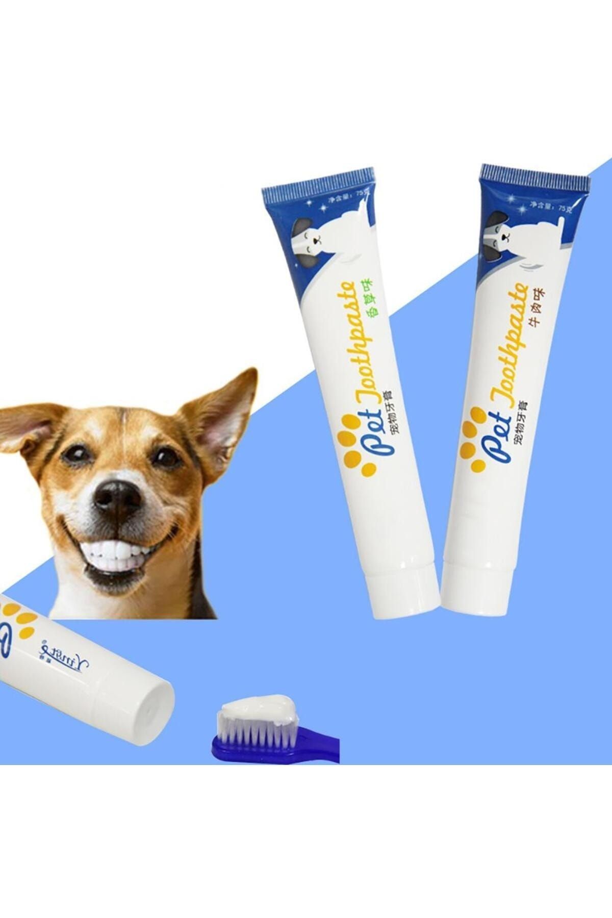Easy Pet Kedi Ve Köpek Diş Macunu Ve Fırça Seti Dental Kit Easy Pet Kedi Ve Köpek Diş Macunu Ve Fırça Seti Dental Kit