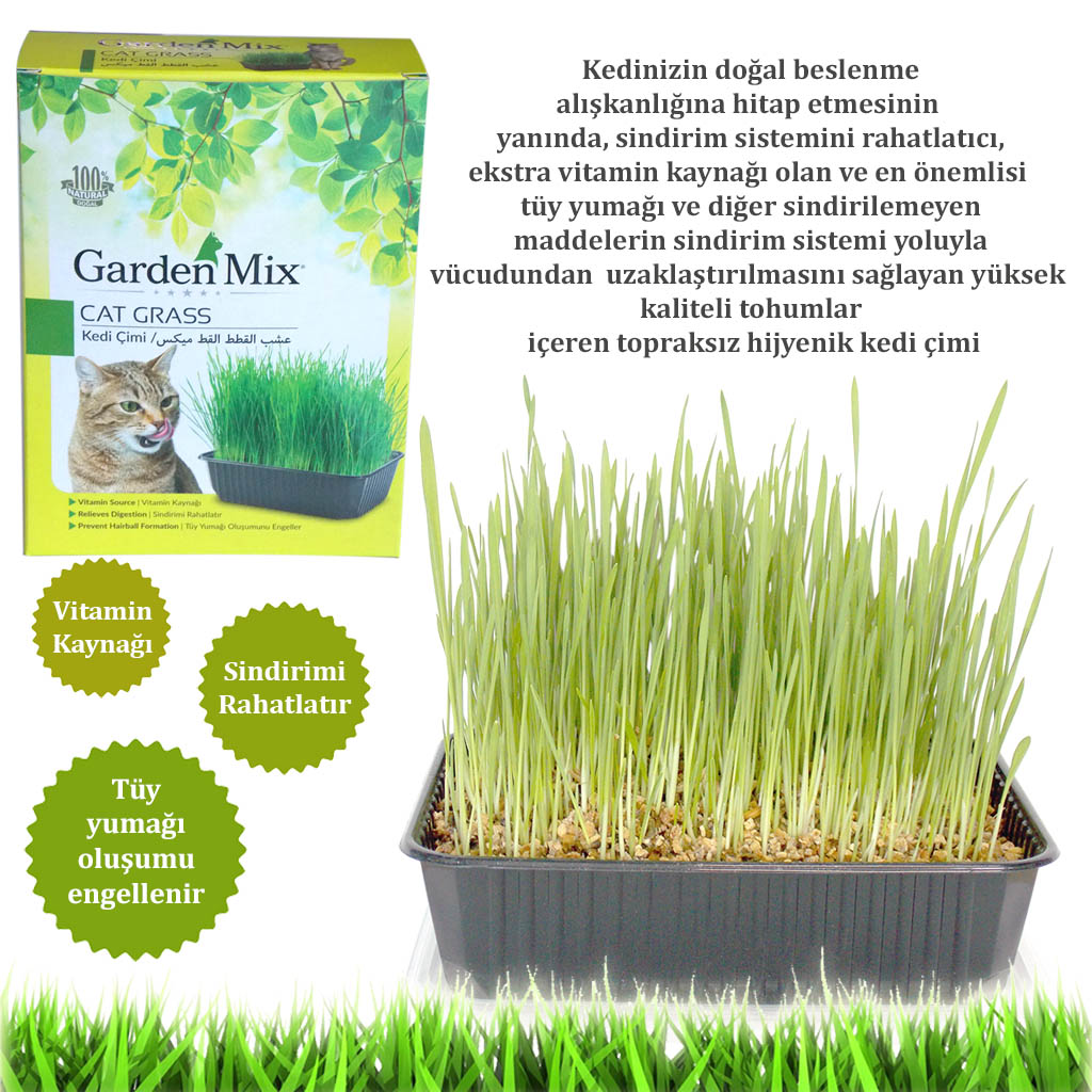 Gardenmix Kedi Çimi Gardenmix Kedi Çimi