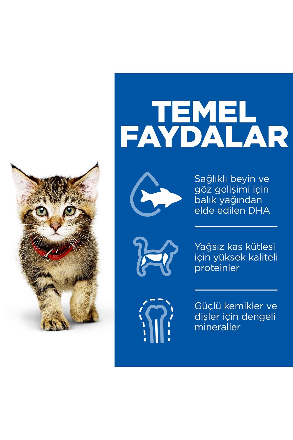 Hills Kitten Tavuklu Yavru Kedi Maması 5+2 Kg Hills Kitten Tavuklu Yavru Kedi Maması 5+2 Kg