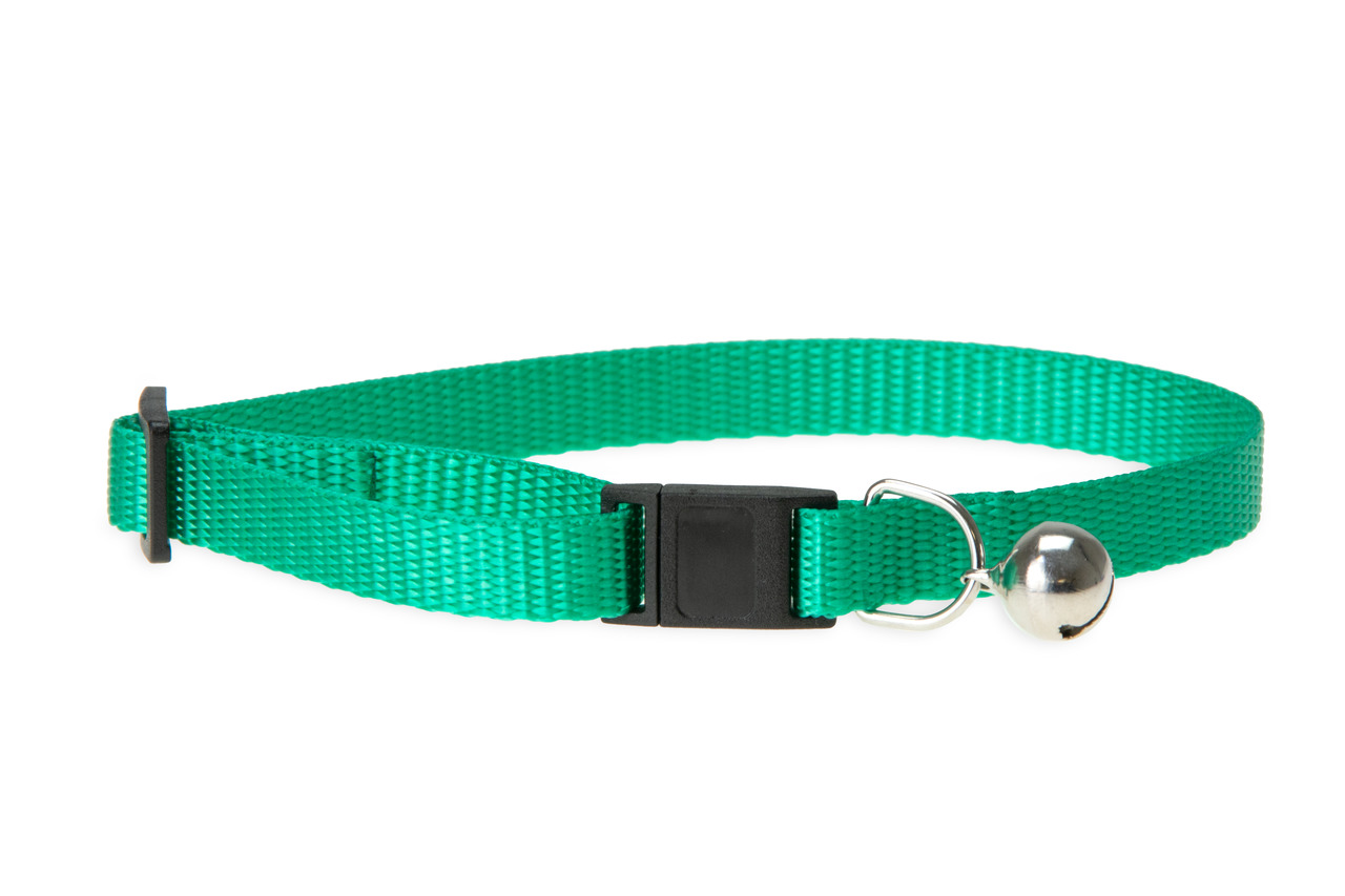 Karlıe Art Sp.kedi Boyun Tasma 30cm*10mm Yeşil Karlıe Art Sp.kedi Boyun Tasma 30cm*10mm Yeşil