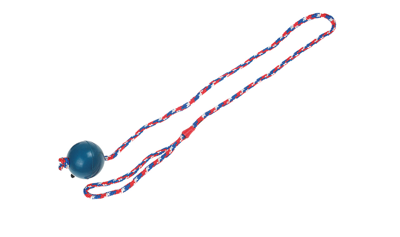 Karlıe İpli Plastik Top 6 Cm Karlıe İpli Plastik Top 6 Cm