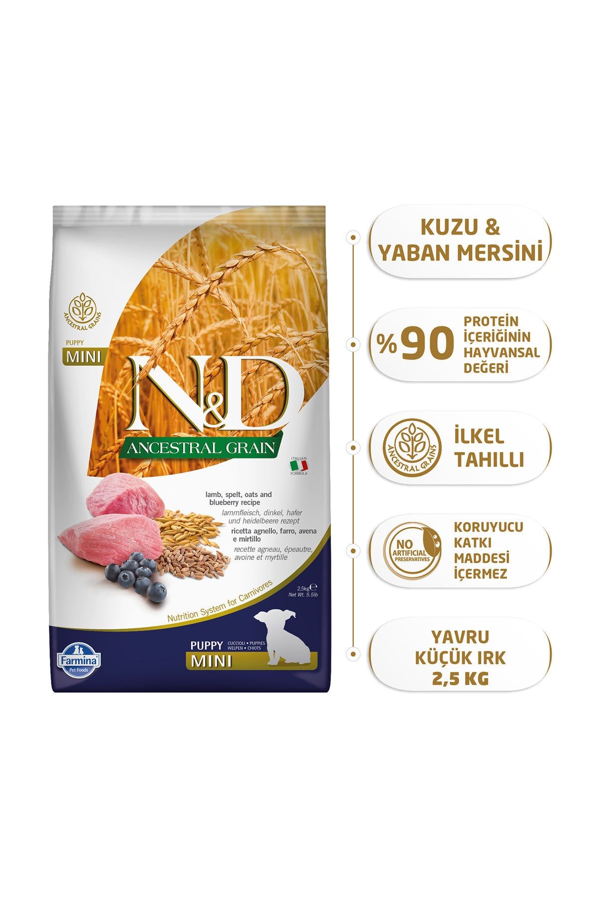 N&D Ancestral Graın Kuzu & Yaban Mersini Puppy Mını 2.5 kg N&D Ancestral Graın Kuzu & Yaban Mersini Puppy Mını 2.5 kg