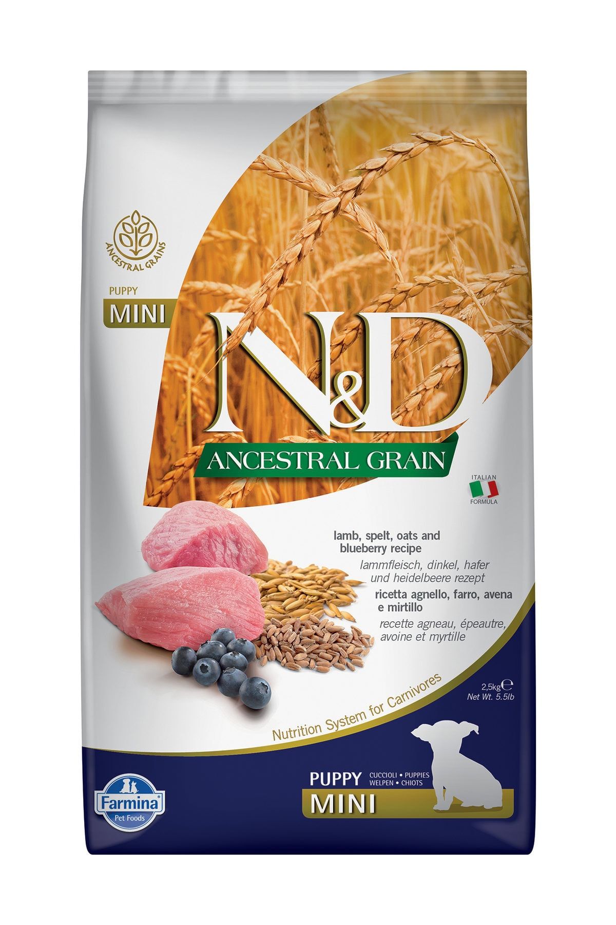 N&D Ancestral Graın Kuzu & Yaban Mersini Puppy Mını 2.5 kg N&D Ancestral Graın Kuzu & Yaban Mersini Puppy Mını 2.5 kg