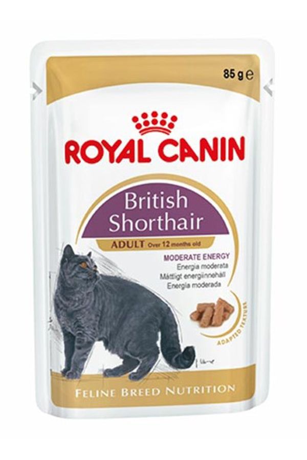 Royal Canin Britisih Shorthair Kedi Konservesi 85 gr Royal Canin Britisih Shorthair Kedi Konservesi 85 gr