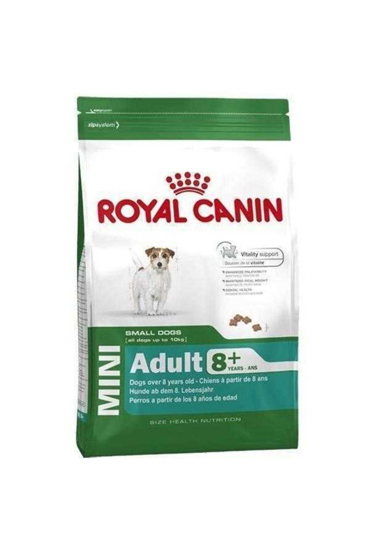 Royal Canin Mini Adult 8+ Mini Irk 8 Yaş Üstü Yetişkin Köpek Maması 2 Kg Royal Canin Mini Adult 8+ Mini Irk 8 Yaş Üstü Yetişkin Köpek Maması 2 Kg