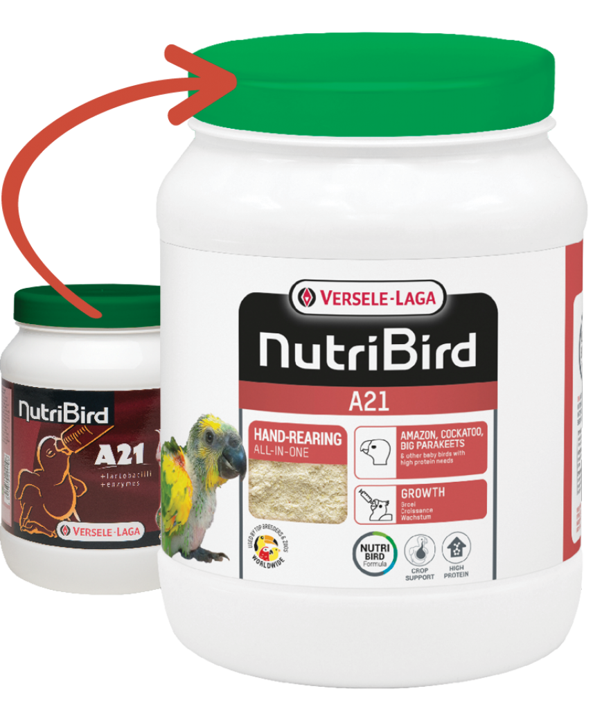 Versele Laga Nutrıbırd A21 Elle Yetiştirme Maması 800g Versele Laga Nutrıbırd A21 Elle Yetiştirme Maması 800g